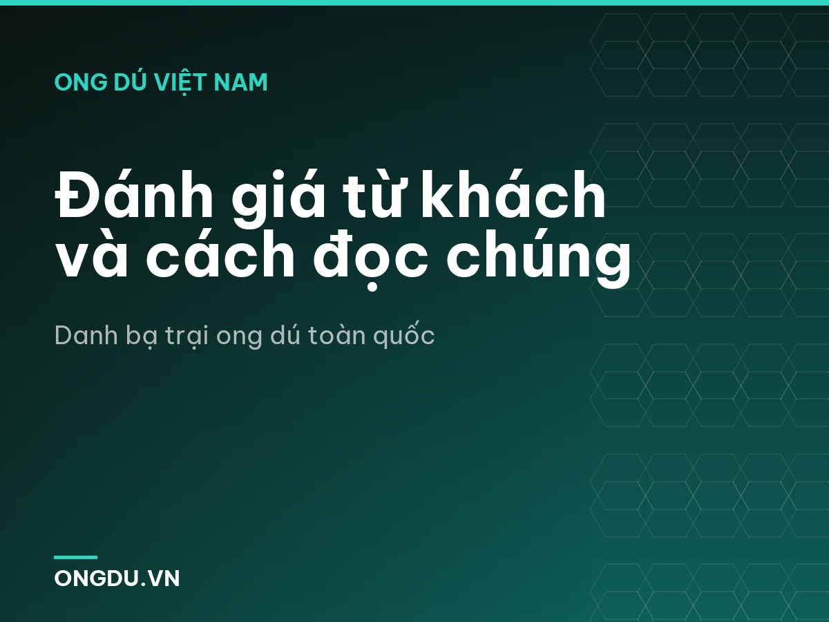 Đánh giá từ khách và cách đọc chúng