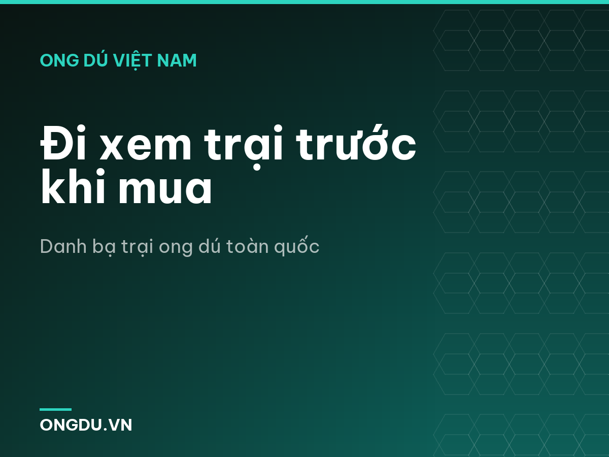Đi xem trại trước khi mua