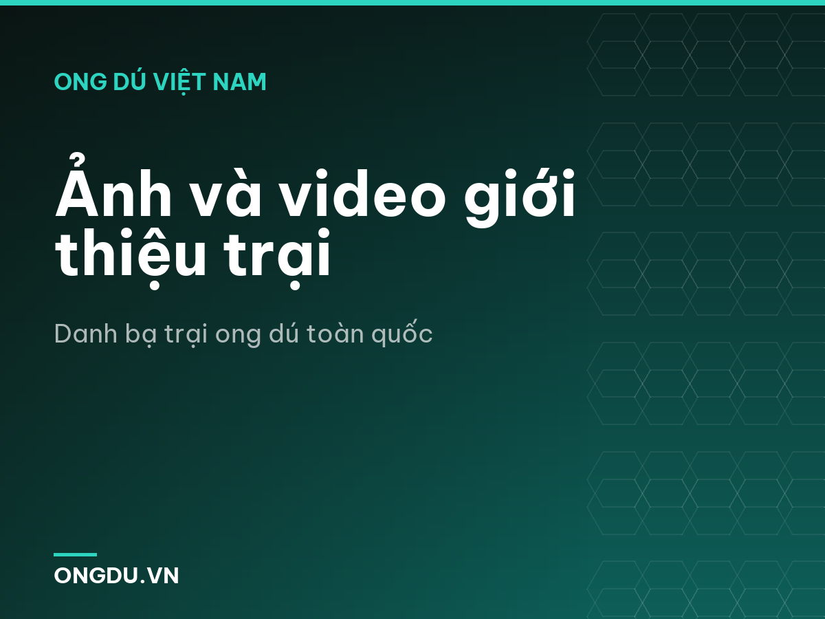 Ảnh và video giới thiệu trại