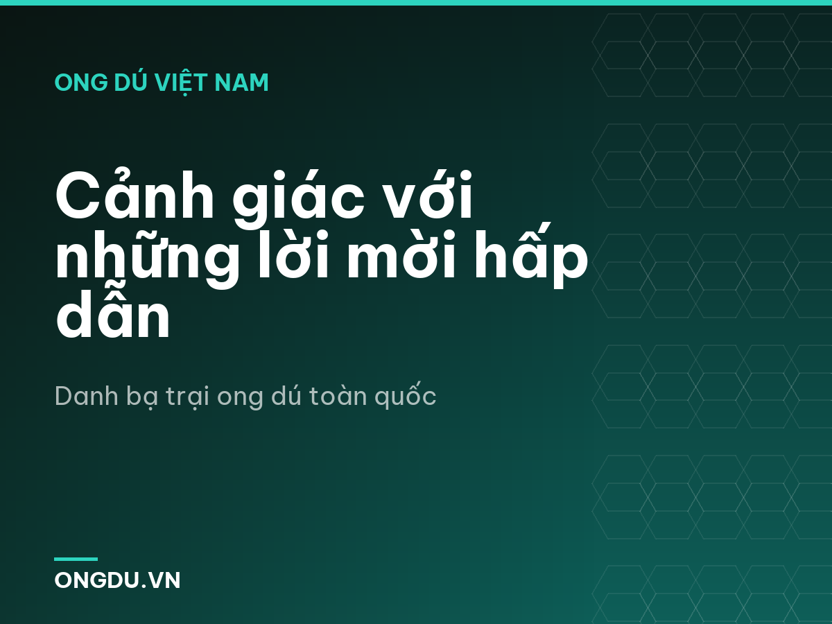 Cảnh giác với những lời mời hấp dẫn