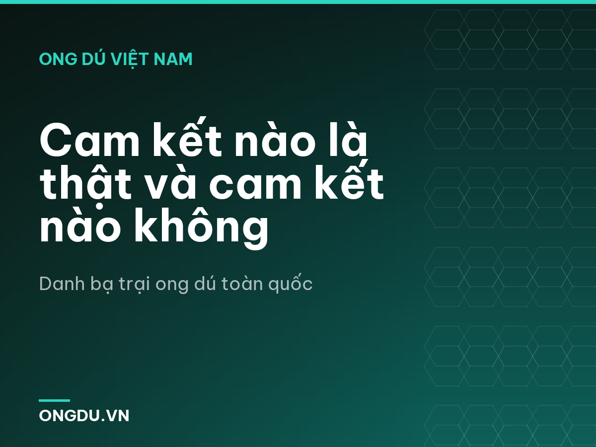 Cam kết nào là thật và cam kết nào không
