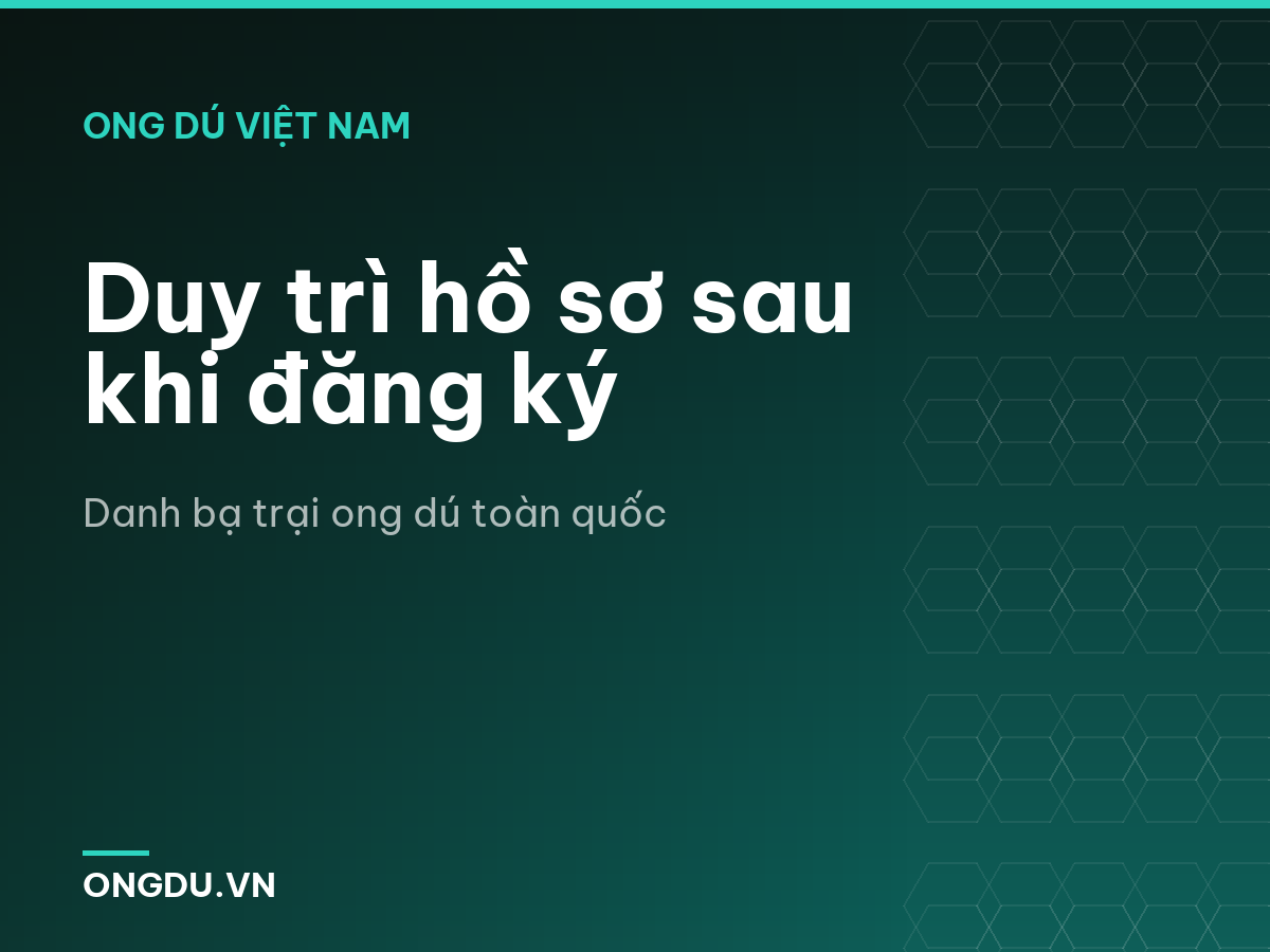 Duy trì hồ sơ sau khi đăng ký