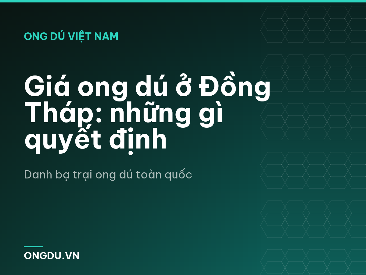 Giá ong dú ở Đồng Tháp: những gì quyết định