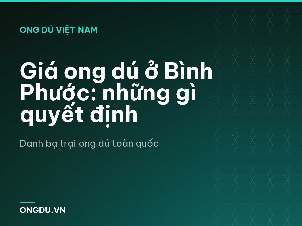 Giá ong dú ở Bình Phước: những gì quyết định