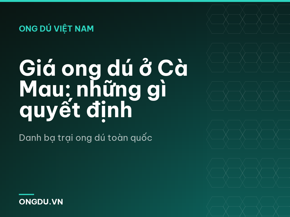 Giá ong dú ở Cà Mau: những gì quyết định