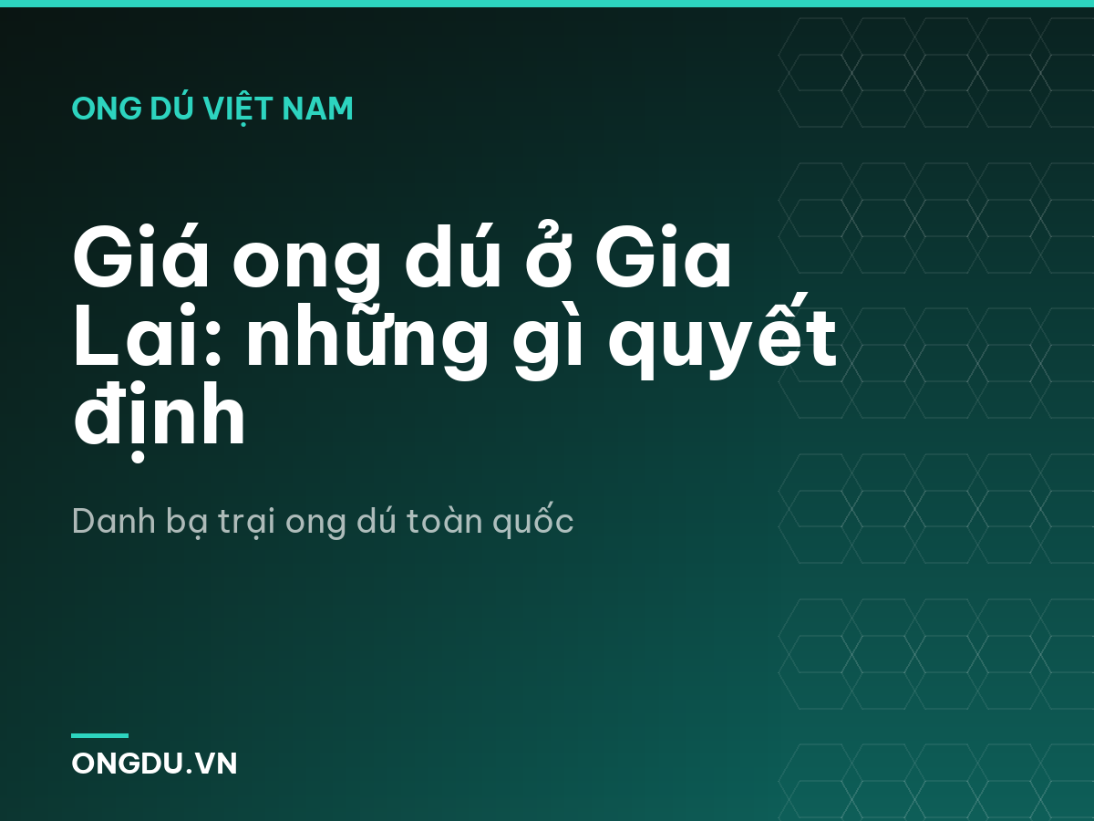 Giá ong dú ở Gia Lai: những gì quyết định