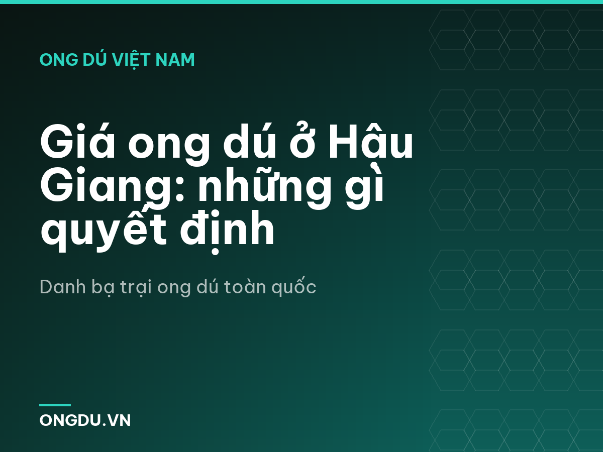 Giá ong dú ở Hậu Giang: những gì quyết định