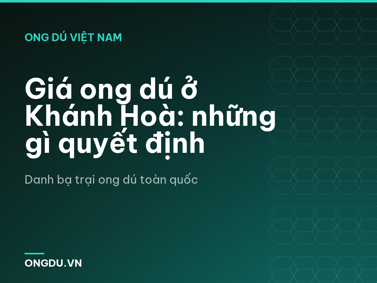 Giá ong dú ở Khánh Hoà: những gì quyết định