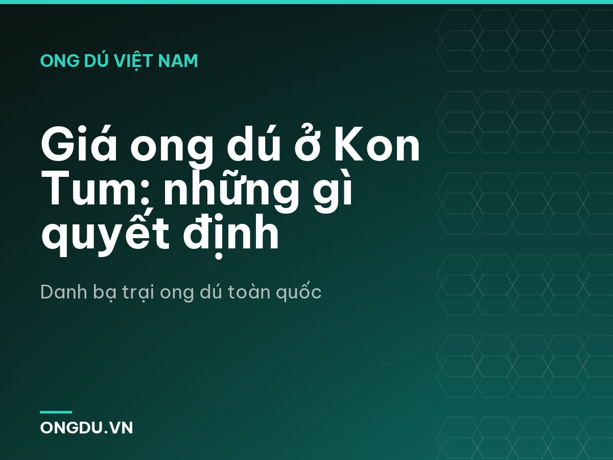 Giá ong dú ở Kon Tum: những gì quyết định
