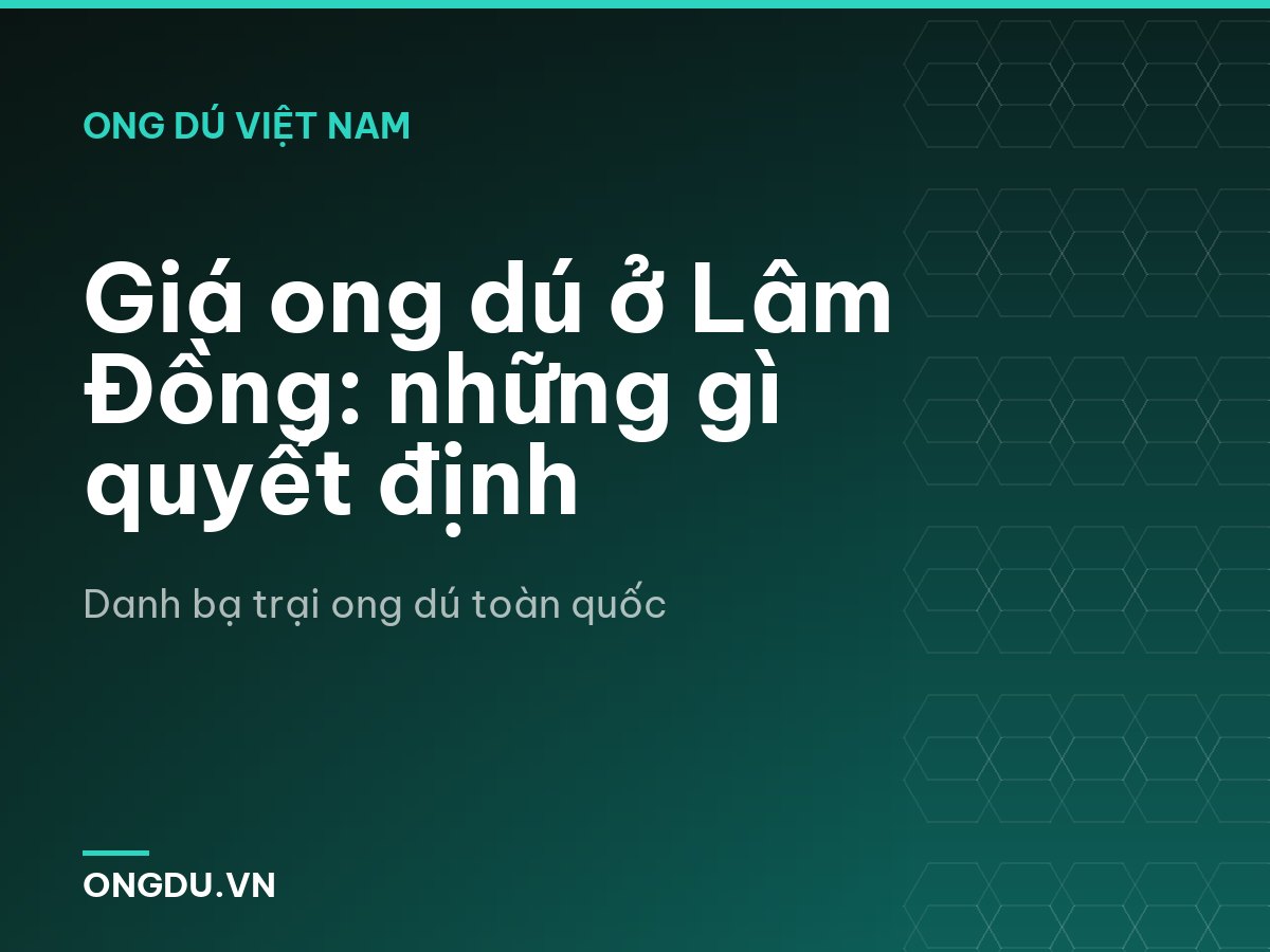 Giá ong dú ở Lâm Đồng: những gì quyết định