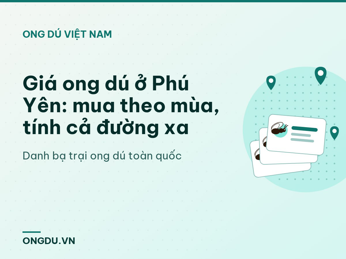 Giá ong dú ở Phú Yên: mua theo mùa, tính cả đường xa