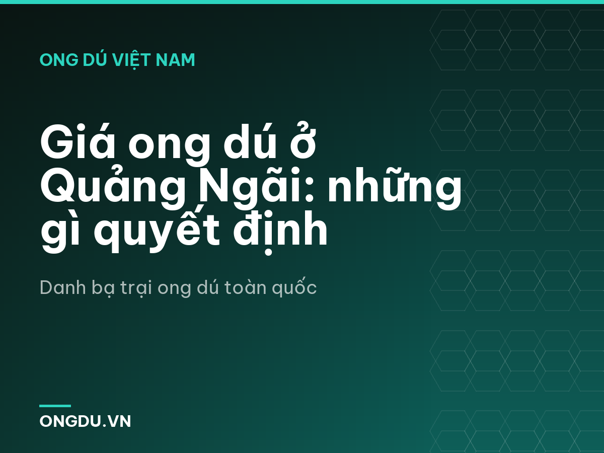 Giá ong dú ở Quảng Ngãi: những gì quyết định