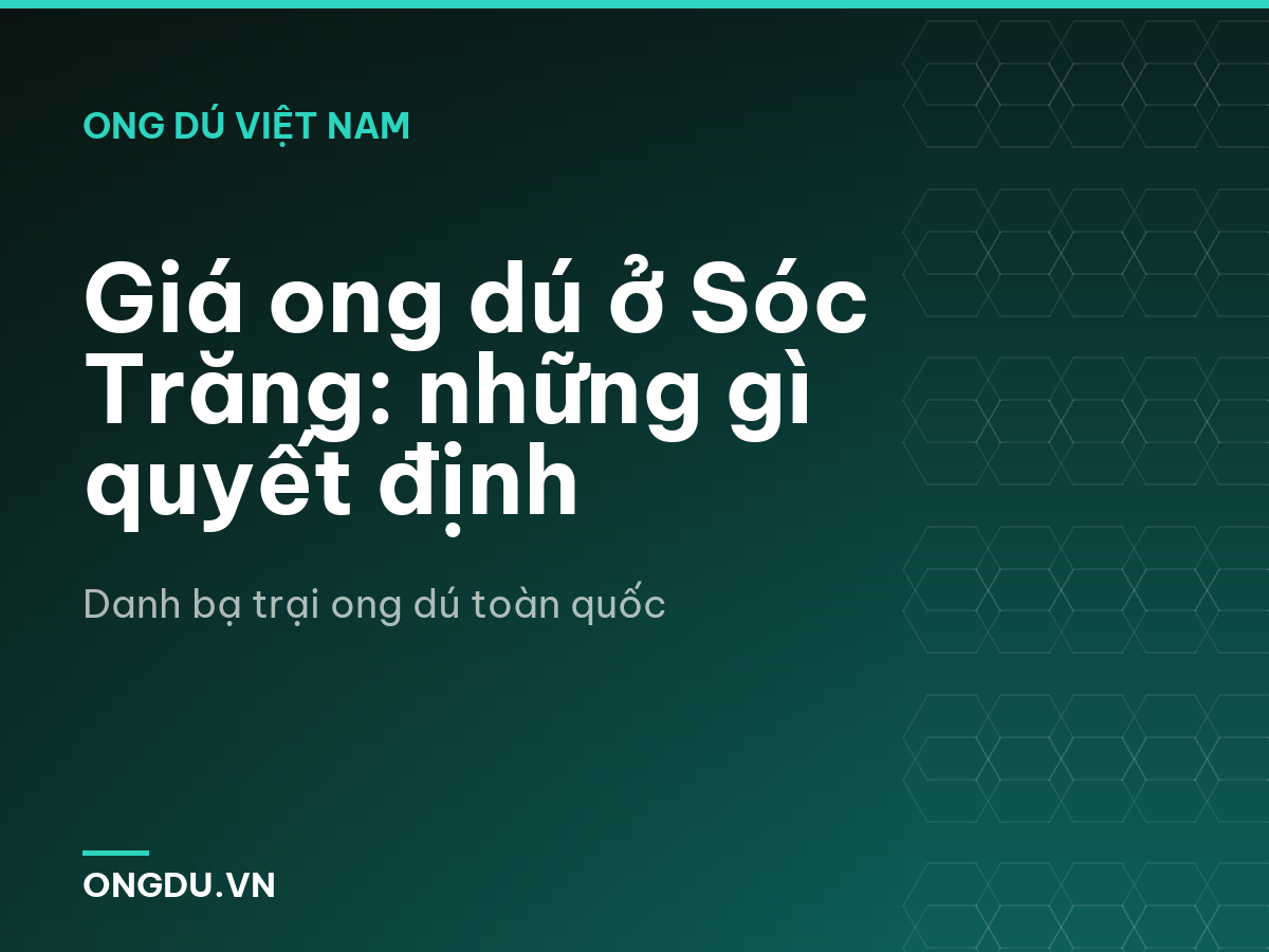 Giá ong dú ở Sóc Trăng: những gì quyết định