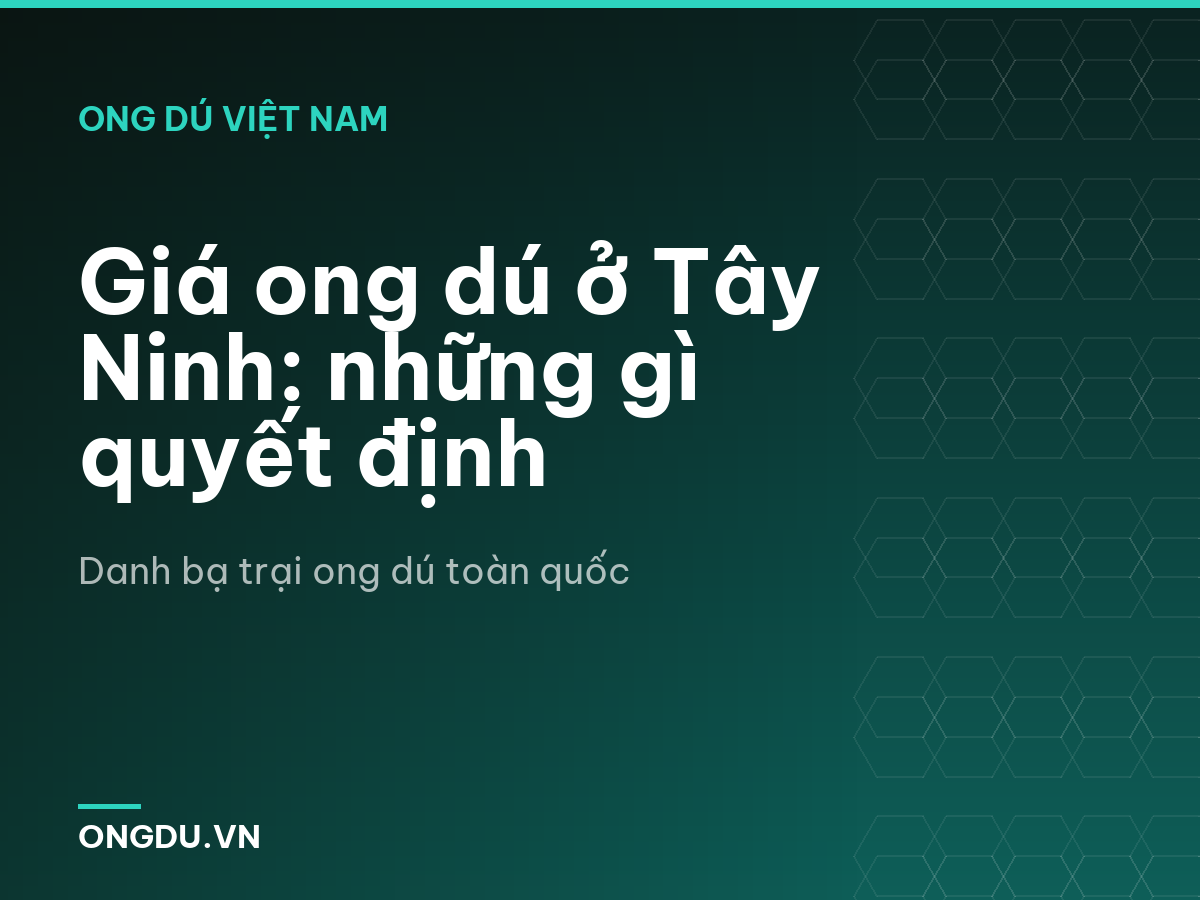 Giá ong dú ở Tây Ninh: những gì quyết định