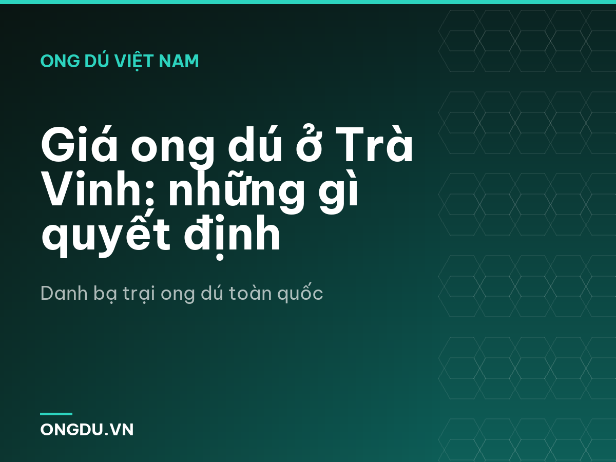 Giá ong dú ở Trà Vinh: những gì quyết định