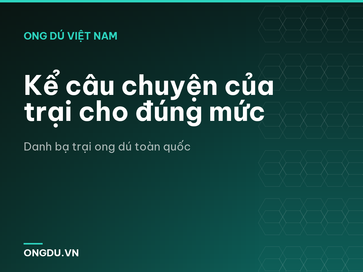 Kể câu chuyện của trại cho đúng mức