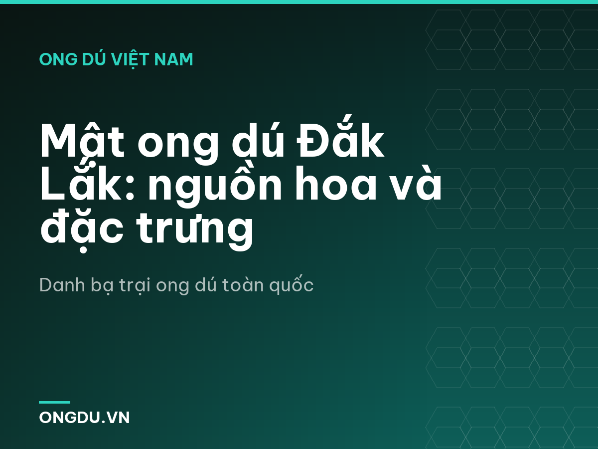 Mật ong dú Đắk Lắk: nguồn hoa và đặc trưng