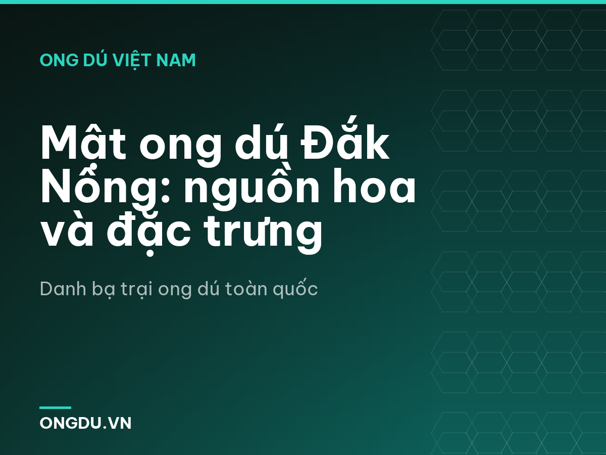 Mật ong dú Đắk Nông: nguồn hoa và đặc trưng
