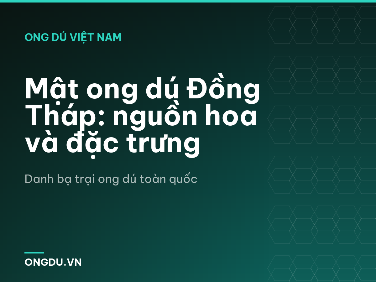 Mật ong dú Đồng Tháp: nguồn hoa và đặc trưng
