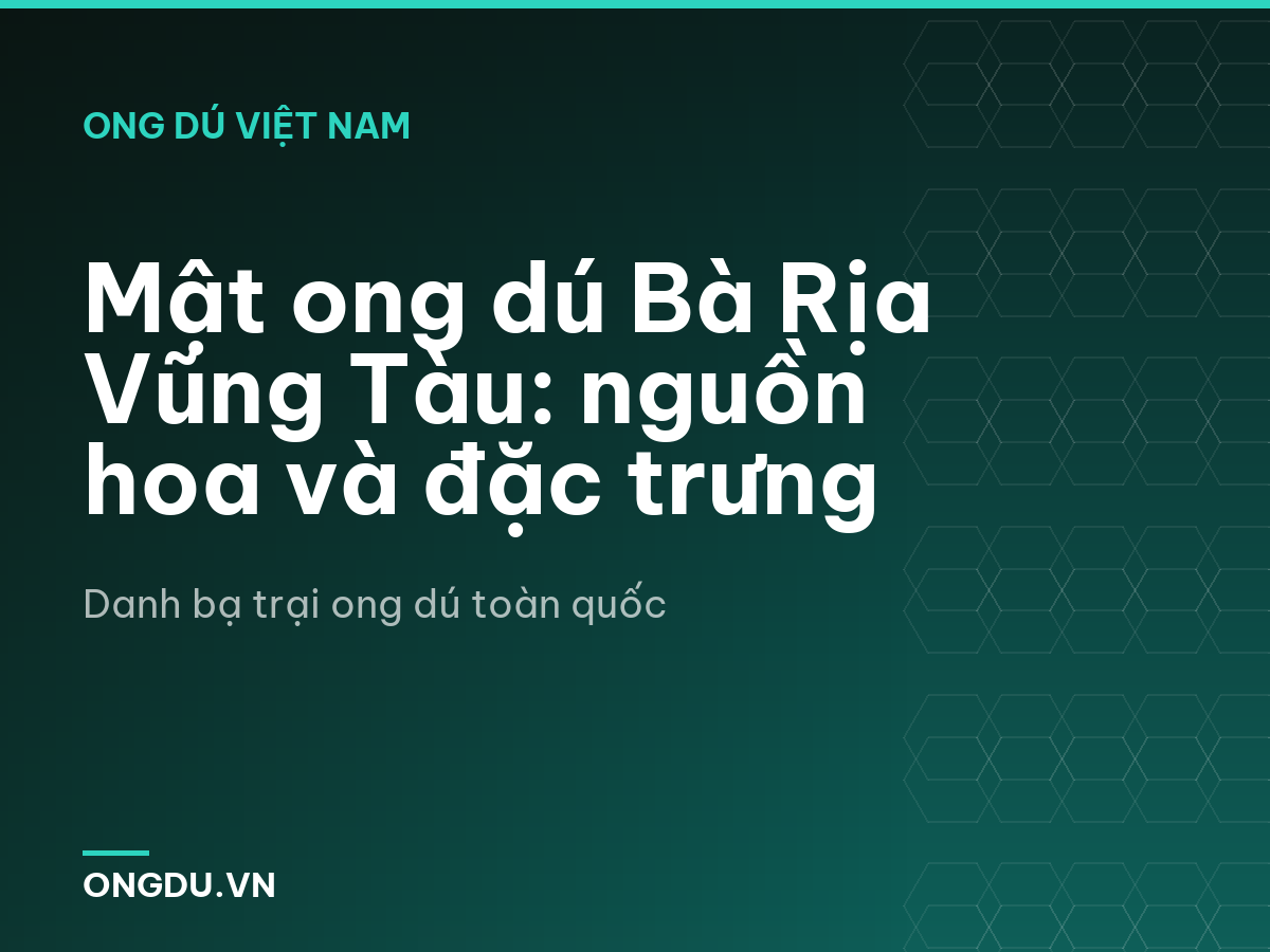 Mật ong dú Bà Rịa Vũng Tàu: nguồn hoa và đặc trưng