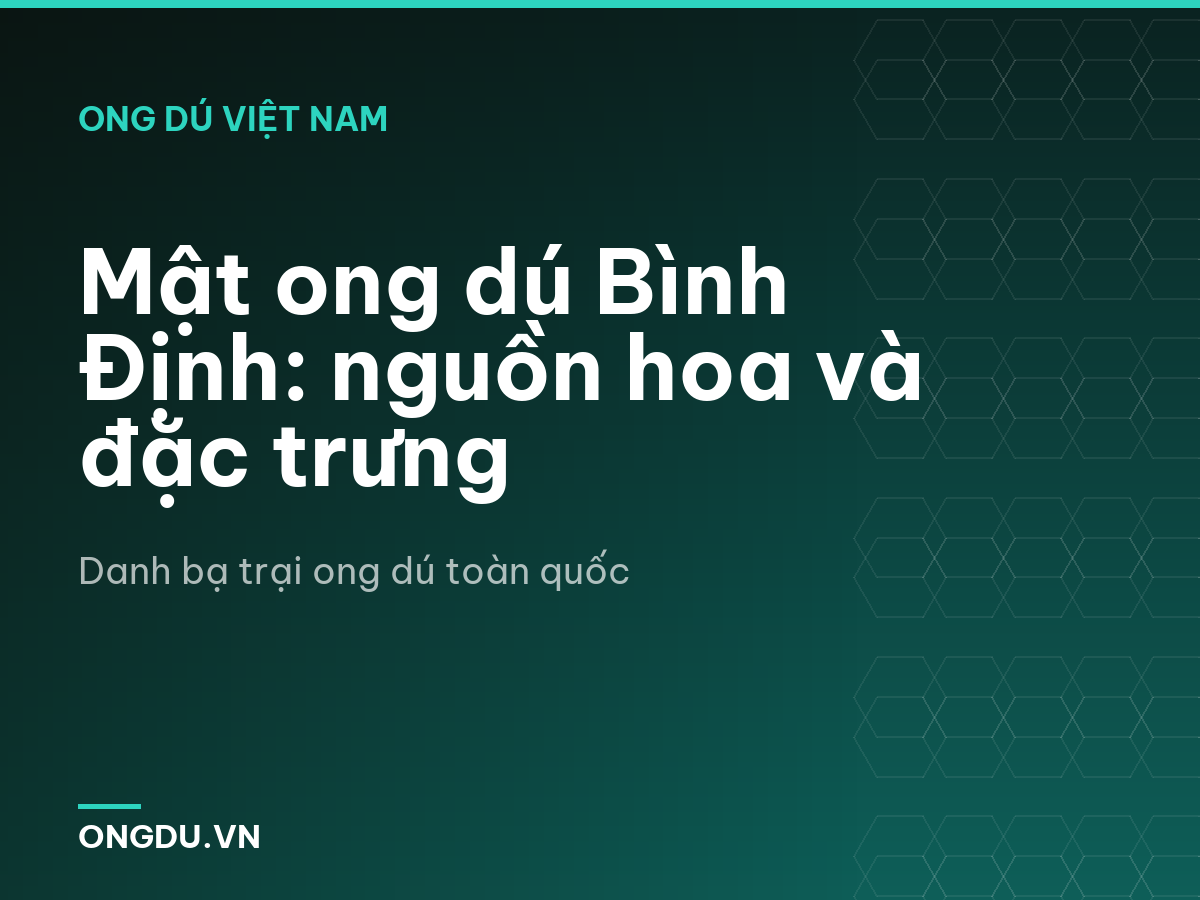 Mật ong dú Bình Định: nguồn hoa và đặc trưng