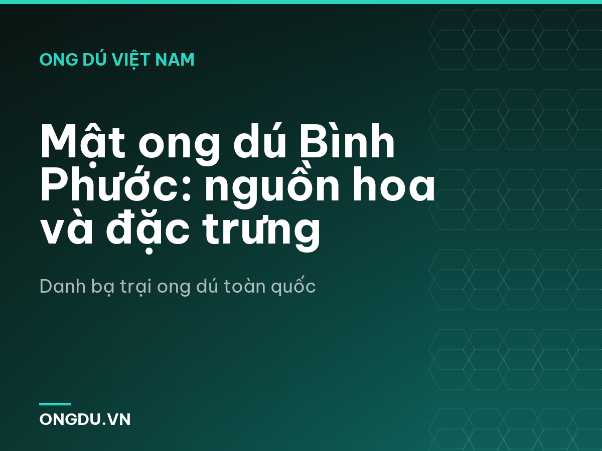 Mật ong dú Bình Phước: nguồn hoa và đặc trưng