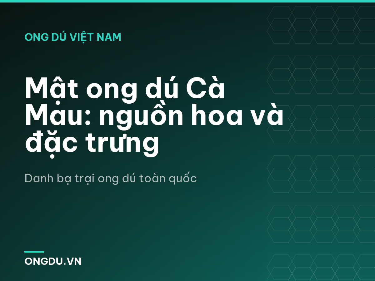 Mật ong dú Cà Mau: nguồn hoa và đặc trưng