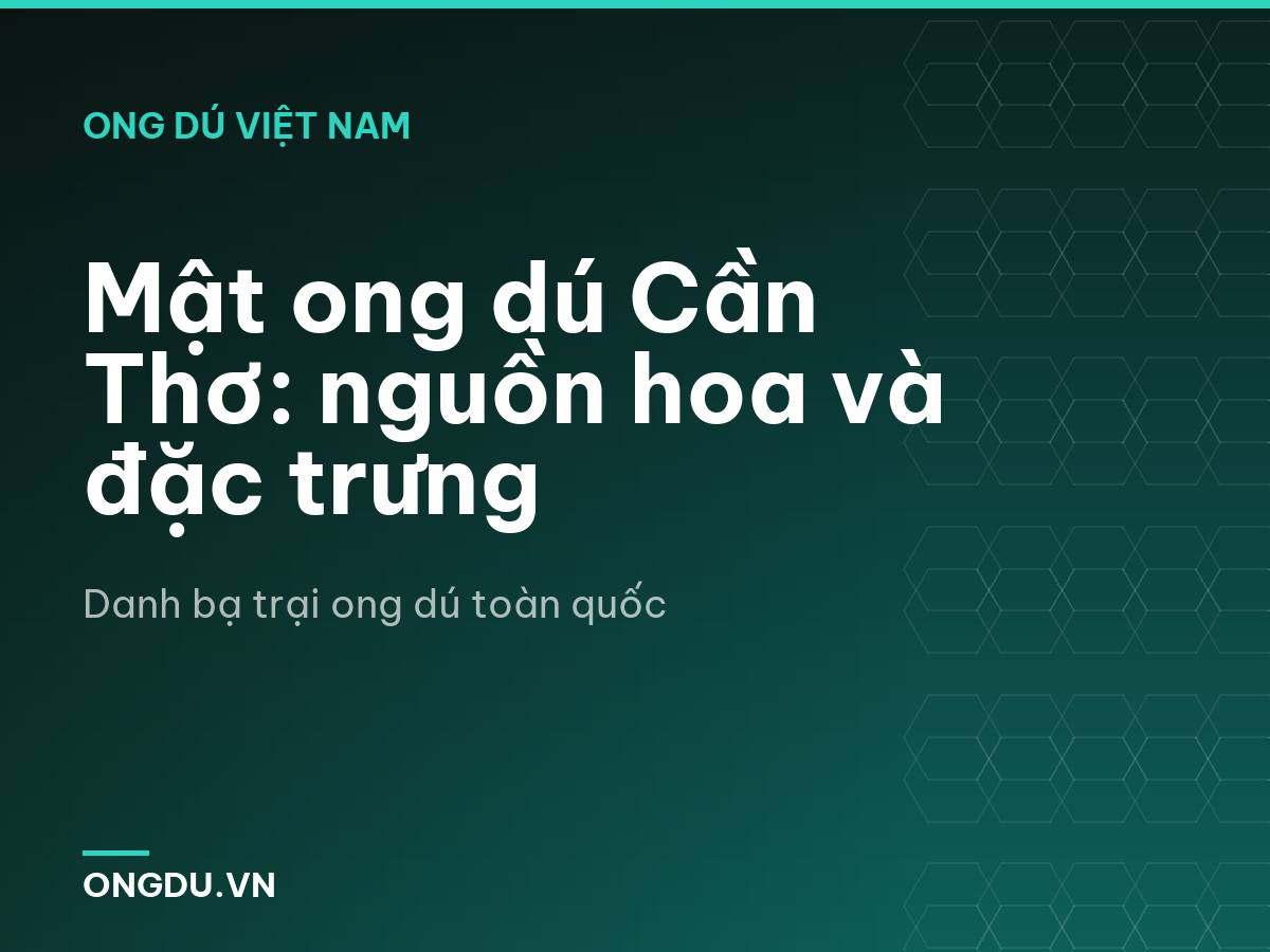 Mật ong dú Cần Thơ: nguồn hoa và đặc trưng