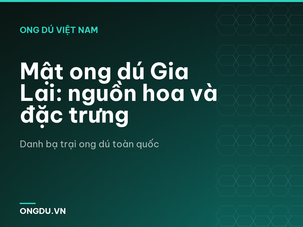 Mật ong dú Gia Lai: nguồn hoa và đặc trưng