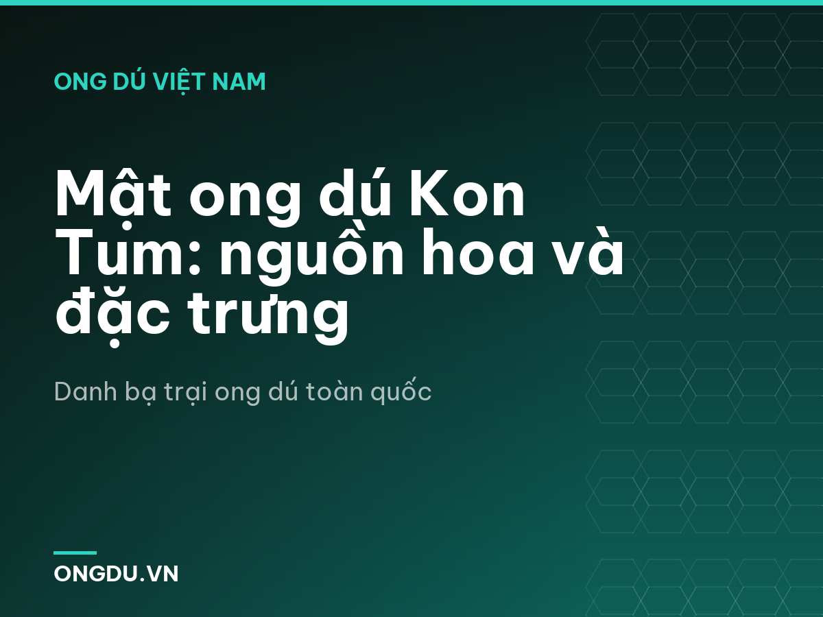 Mật ong dú Kon Tum: nguồn hoa và đặc trưng
