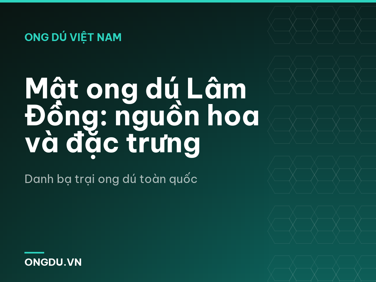 Mật ong dú Lâm Đồng: nguồn hoa và đặc trưng