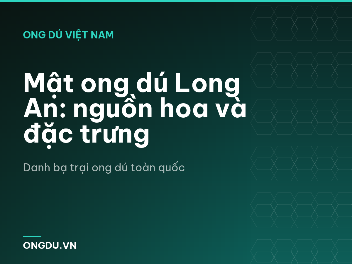 Mật ong dú Long An: nguồn hoa và đặc trưng