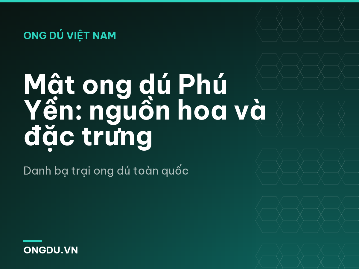 Mật ong dú Phú Yên: nguồn hoa và đặc trưng