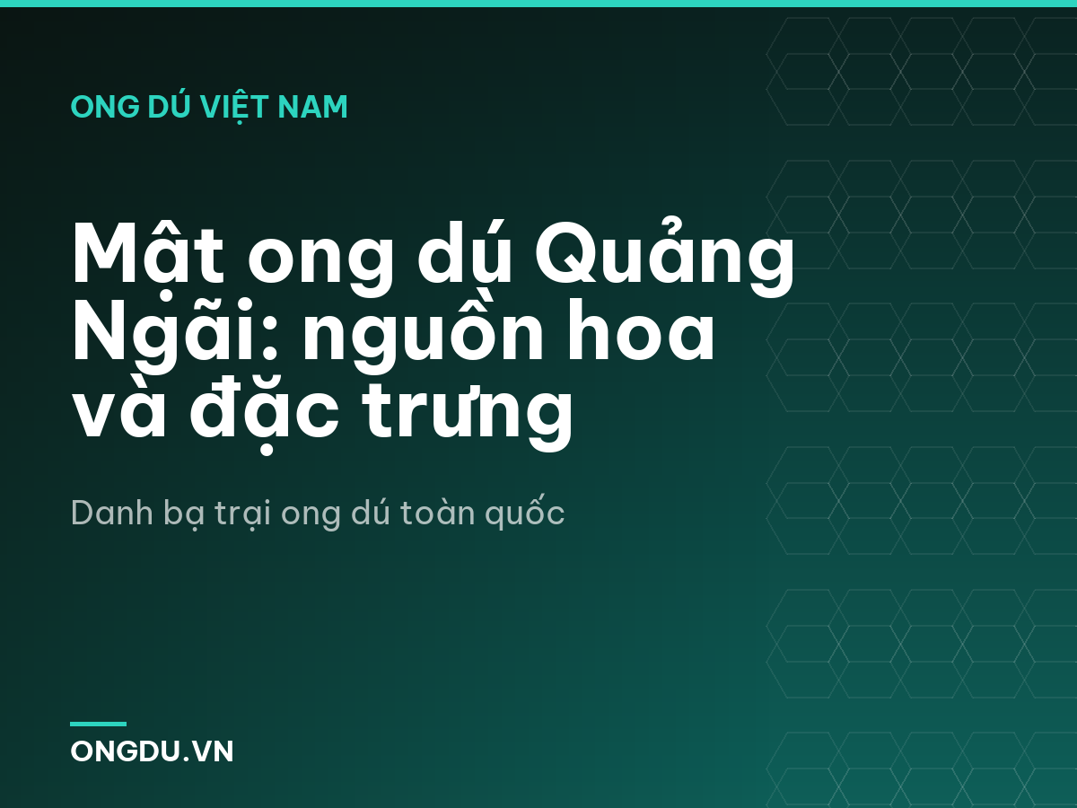 Mật ong dú Quảng Ngãi: nguồn hoa và đặc trưng