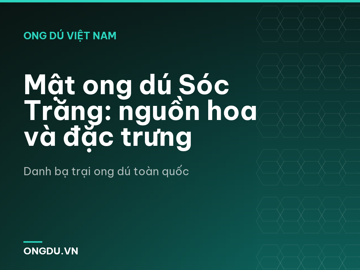 Mật ong dú Sóc Trăng: nguồn hoa và đặc trưng