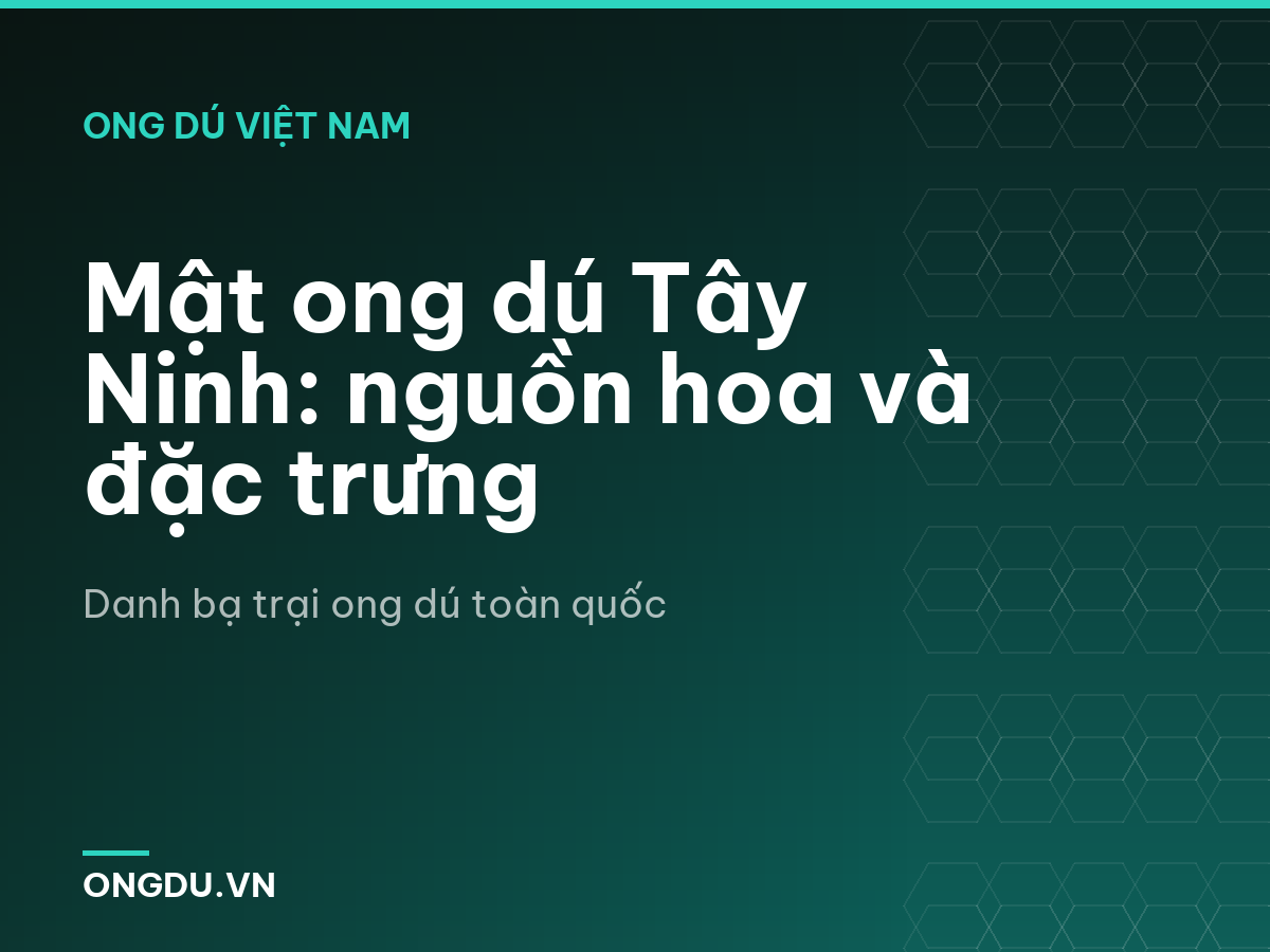 Mật ong dú Tây Ninh: nguồn hoa và đặc trưng