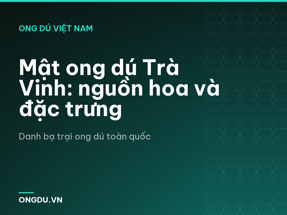 Mật ong dú Trà Vinh: nguồn hoa và đặc trưng