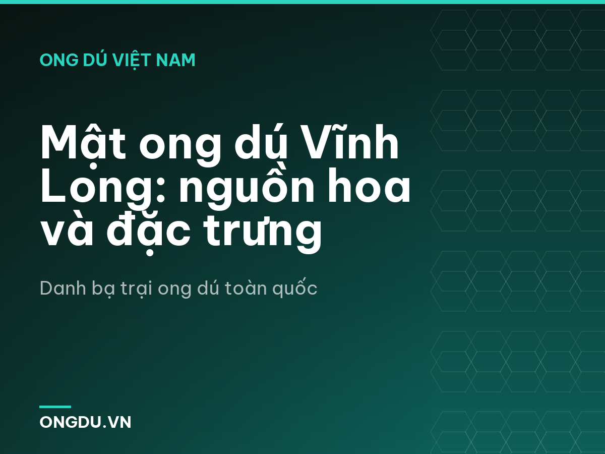 Mật ong dú Vĩnh Long: nguồn hoa và đặc trưng