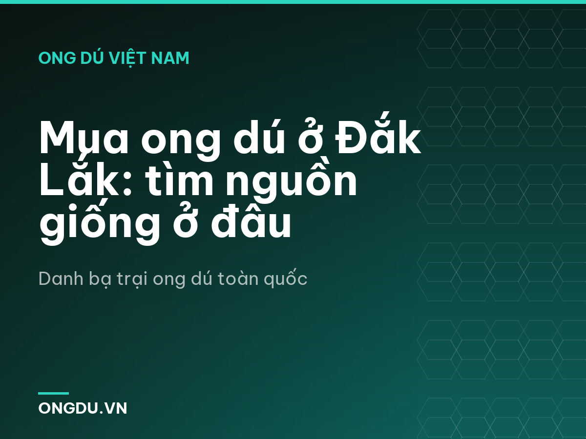Mua ong dú ở Đắk Lắk: tìm nguồn giống ở đâu