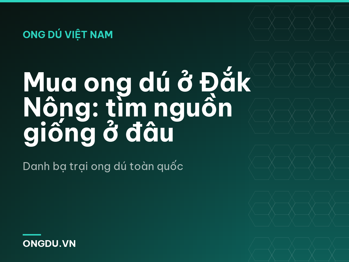 Mua ong dú ở Đắk Nông: tìm nguồn giống ở đâu