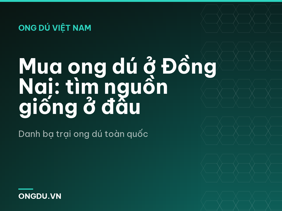 Mua ong dú ở Đồng Nai: tìm nguồn giống ở đâu