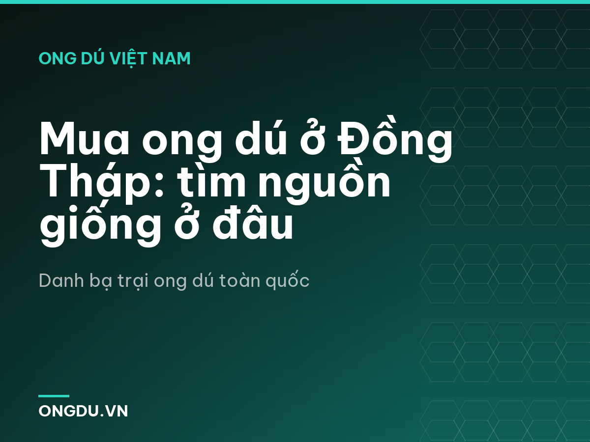 Mua ong dú ở Đồng Tháp: tìm nguồn giống ở đâu