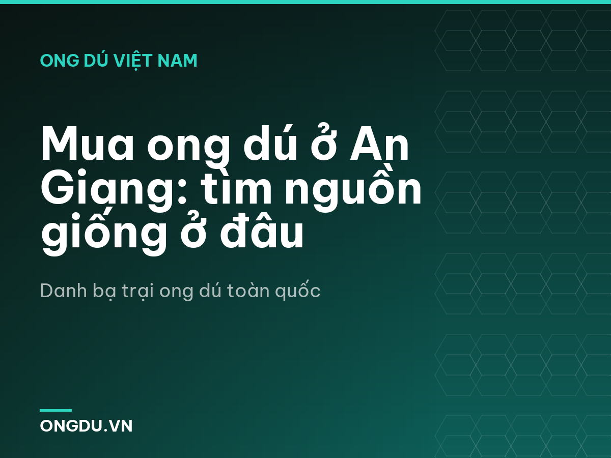 Mua ong dú ở An Giang: tìm nguồn giống ở đâu