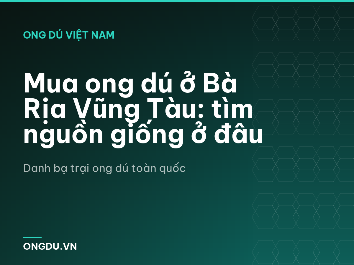 Mua ong dú ở Bà Rịa Vũng Tàu: tìm nguồn giống ở đâu