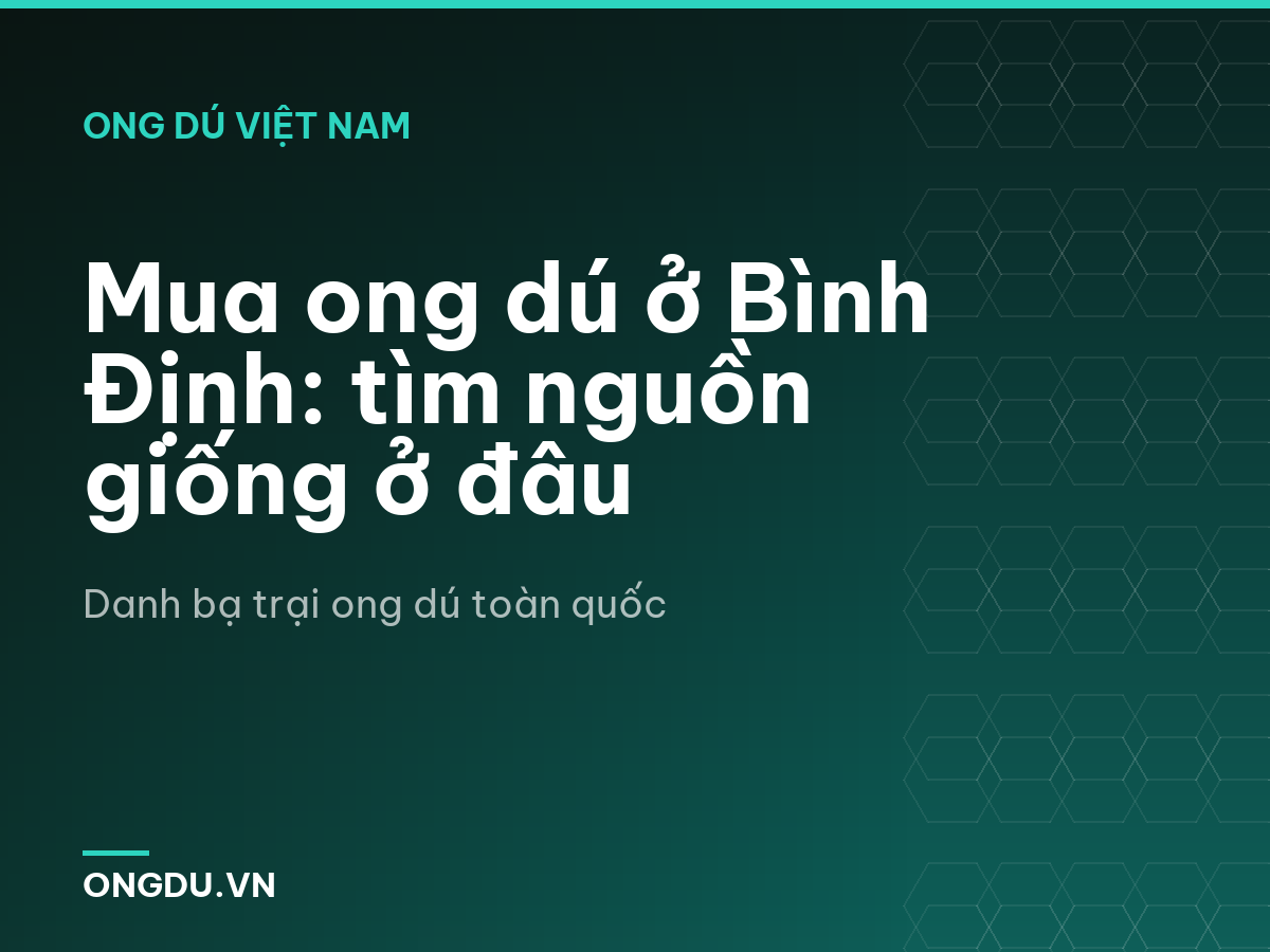 Mua ong dú ở Bình Định: tìm nguồn giống ở đâu