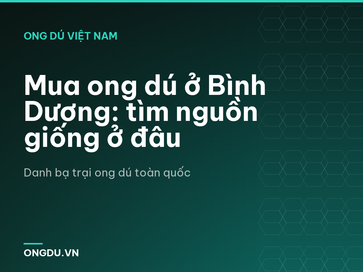 Mua ong dú ở Bình Dương: tìm nguồn giống ở đâu