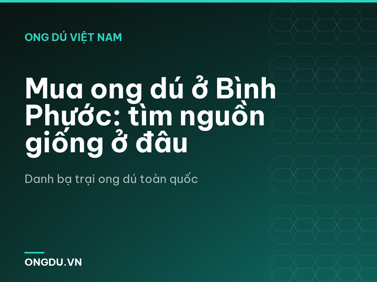 Mua ong dú ở Bình Phước: tìm nguồn giống ở đâu