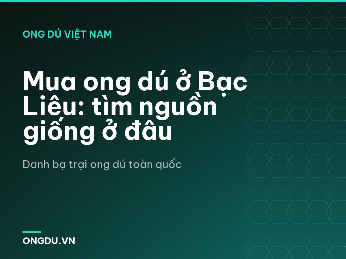 Mua ong dú ở Bạc Liêu: tìm nguồn giống ở đâu