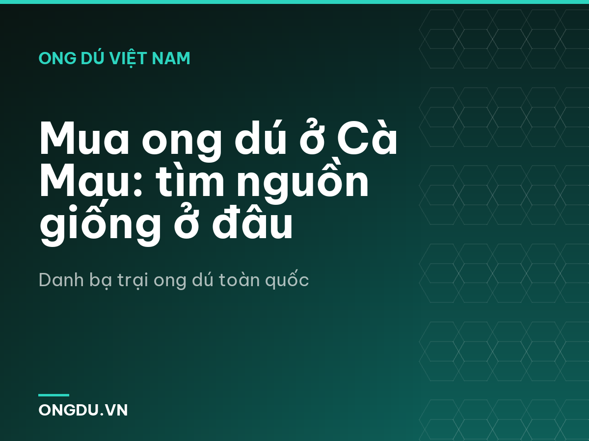 Mua ong dú ở Cà Mau: tìm nguồn giống ở đâu