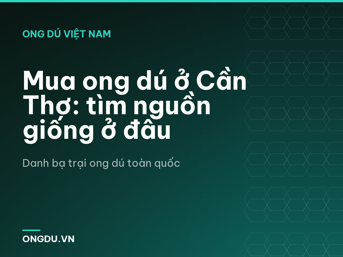 Mua ong dú ở Cần Thơ: tìm nguồn giống ở đâu